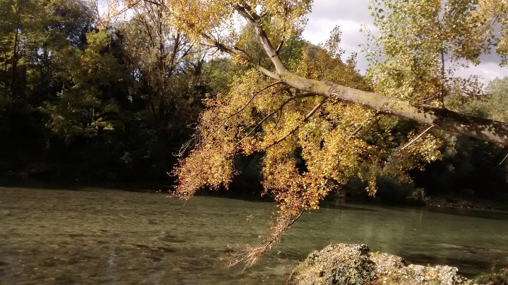 Appartamento Il Tiglio Bassano del Grappa Esterno foto